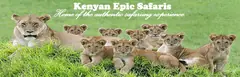 Kenyan Epic Safaris - Easy Price Book Kenya