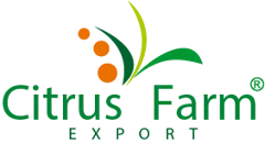 Citrus Farm Export - Easy Price Book Morocco