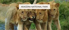 Akagera National Park - Leisure Facilities - Hotels, Restaurants and Leisure - Consumer Services - Consumer Discretionary - Easy Price Book Rwanda